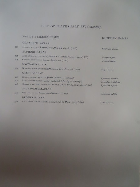 FDA-E.2916_16_3-2016-A image FDA-E.2916_16_3-2016-A