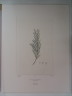 image FDA-E.2916_2_24-2016