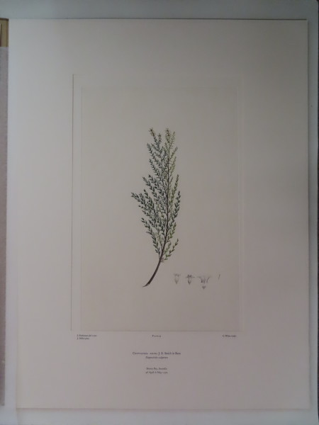 image FDA-E.2916_2_24-2016