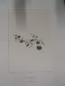 image FDA-E.2916_19_11-2016-A