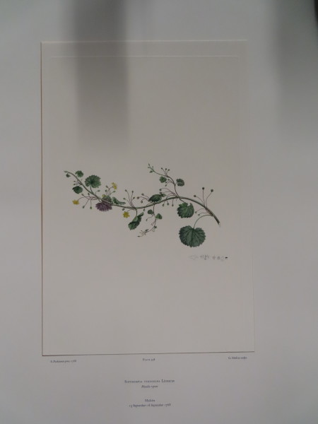image FDA-E.2916_19_11-2016-A