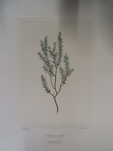 image FDA-E.2916_21_24-2016