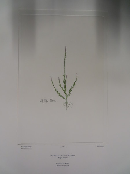 FDA-E.2916_1_17-2016 image FDA-E.2916_1_17-2016