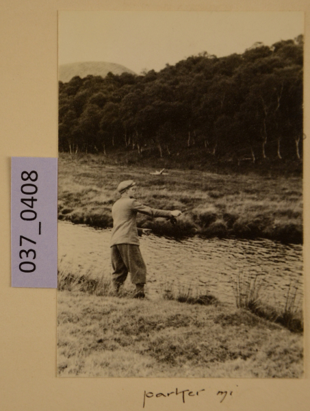 image PA-A.37_408-2012