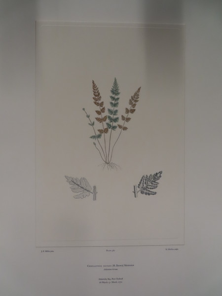 FDA-E.2916_27_9-2016 image FDA-E.2916_27_9-2016