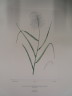 image FDA-E.2916_31_25-2016-A