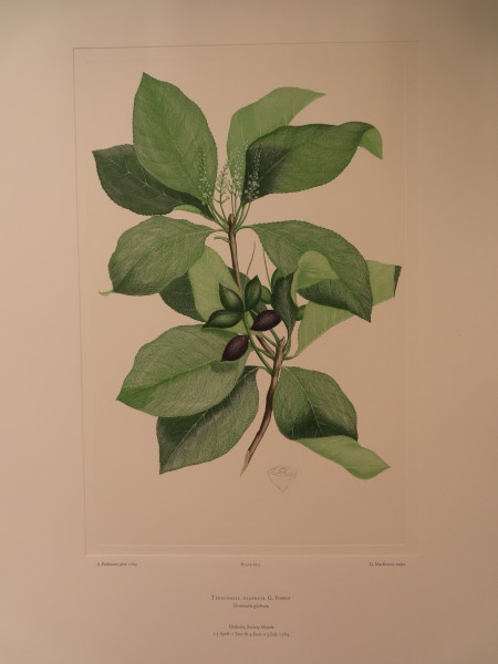 image FDA-E.2916_28_22-2016-A