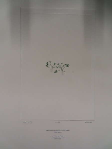 image FDA-E.2916_33_5-2016