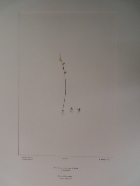 FDA-E.2916_11_15-2016 image FDA-E.2916_11_15-2016