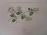 image FDA-E.2916_16_8-2016-A