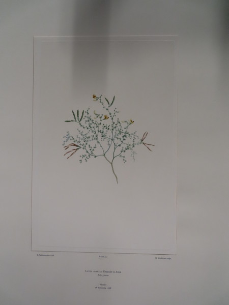 FDA-E.2916_19_4-2016-A image FDA-E.2916_19_4-2016-A
