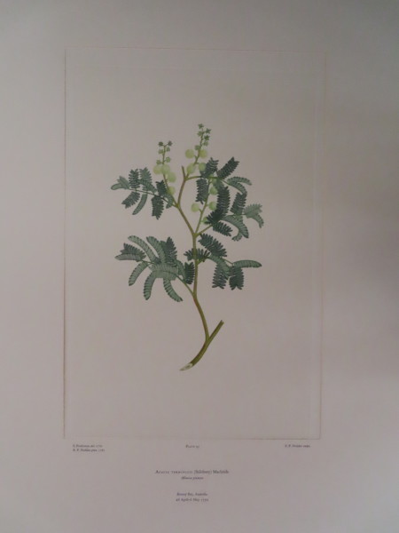FDA-E.2916_5_8-2016-A image FDA-E.2916_5_8-2016-A