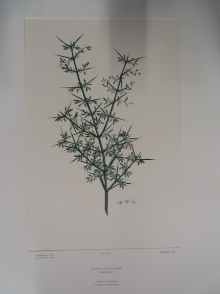 FDA-E.2916_21_6-2016-A image FDA-E.2916_21_6-2016-A
