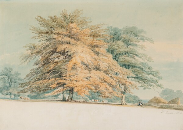 image FDA-D.1694-2023