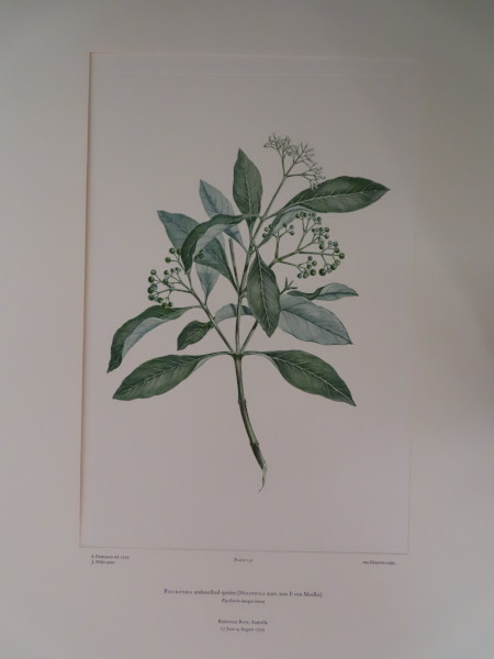 FDA-E.2916_7_19-2016-A image FDA-E.2916_7_19-2016-A