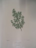 image FDA-E.2916_23_7-2016-A