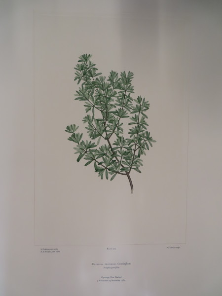 FDA-E.2916_23_7-2016-A image FDA-E.2916_23_7-2016-A