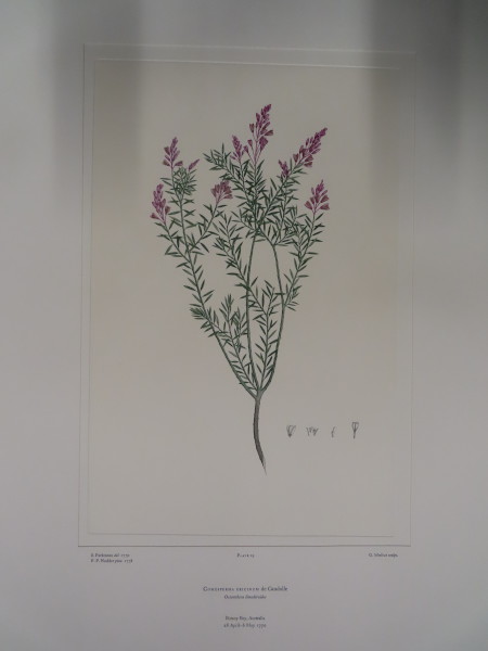 FDA-E.2916_1_22-2016-A image FDA-E.2916_1_22-2016-A