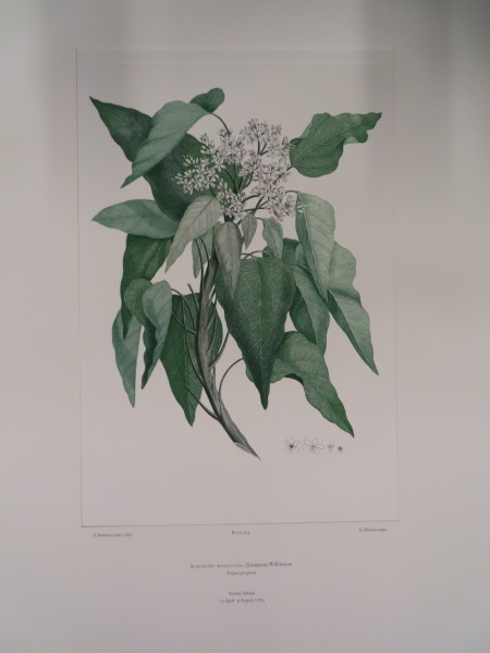 image FDA-E.2916_31_6-2016