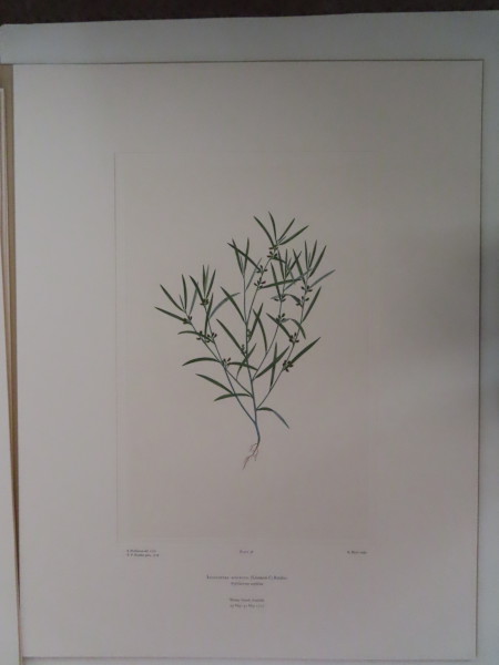 image FDA-E.2916_3_16-2016