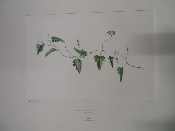 FDA-E.2916_19_9-2016-A image FDA-E.2916_19_9-2016-A