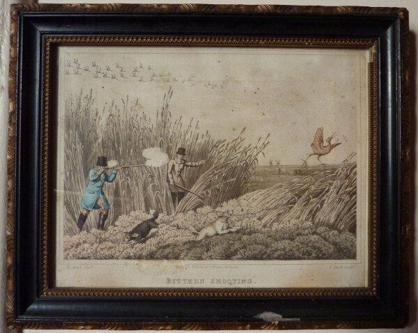 image FDA-E.575-2013