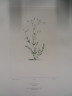 image FDA-E.2916_32_11-2016-A
