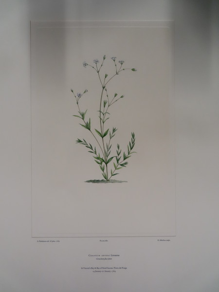 image FDA-E.2916_32_11-2016-A