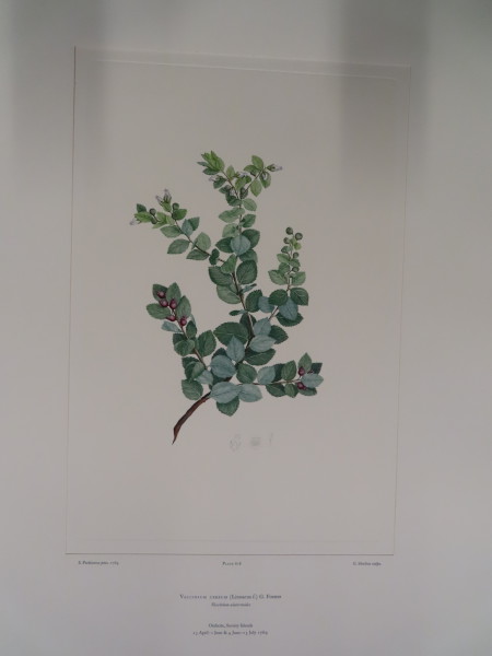 FDA-E.2916_29_15-2016 image FDA-E.2916_29_15-2016