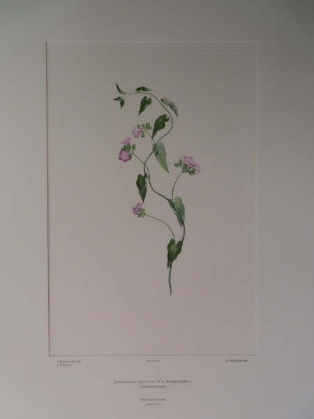 image FDA-E.2916_11_4-2016