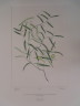 image FDA-E.2916_15_12-2016-A