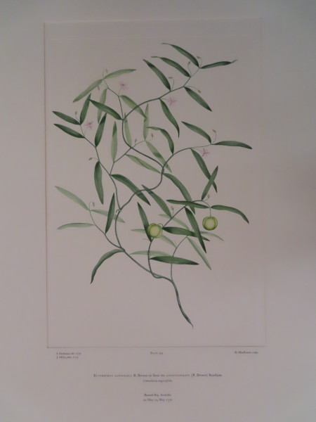 image FDA-E.2916_15_12-2016-A