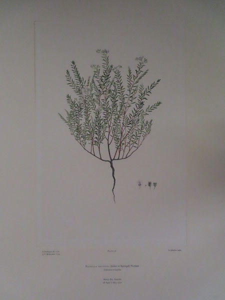 FDA-E.2916_7_6-2016-A image FDA-E.2916_7_6-2016-A