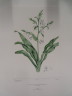 image FDA-E.2916_26_23-2016-A