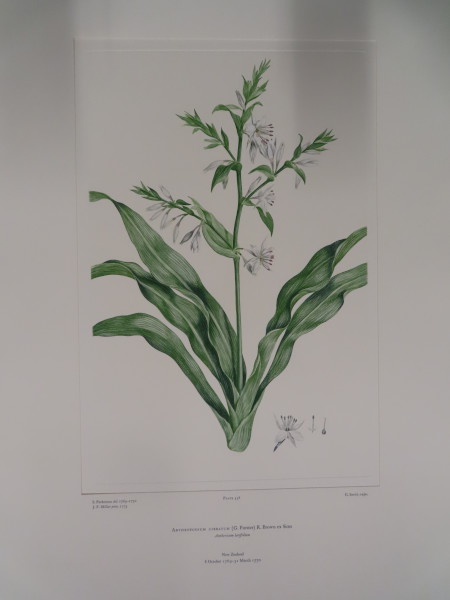 FDA-E.2916_26_23-2016-A image FDA-E.2916_26_23-2016-A