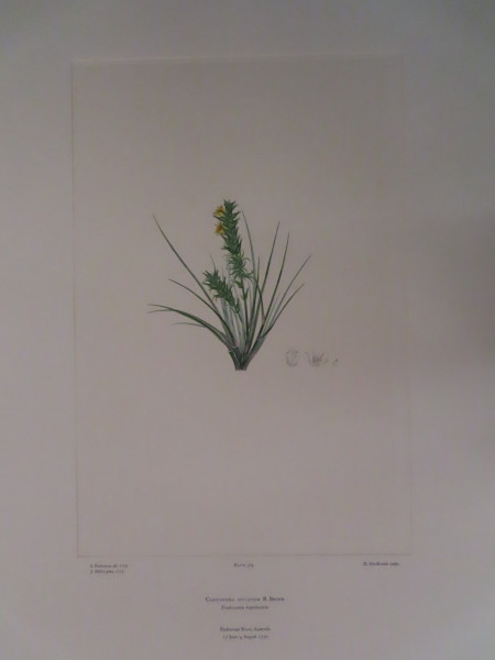 image FDA-E.2916_15_17-2016-A