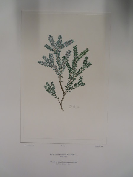 image FDA-E.2916_34_7-2016-A