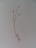 image FDA-E.2916_9_9-2016-A