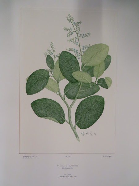 FDA-E.2916_22_25-2016-A image FDA-E.2916_22_25-2016-A
