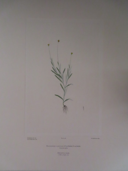 FDA-E.2916_8_12-2016 image FDA-E.2916_8_12-2016