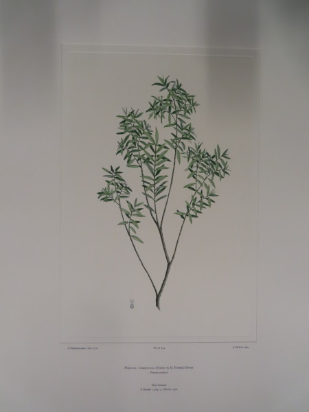FDA-E.2916_26_9-2016-A image FDA-E.2916_26_9-2016-A