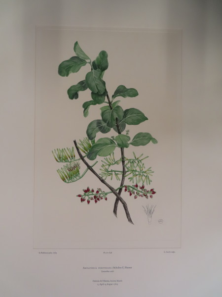 image FDA-E.2916_30_23-2016