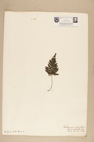 NHM_HH_41.108-2010 image NHM_HH_41.108-2010