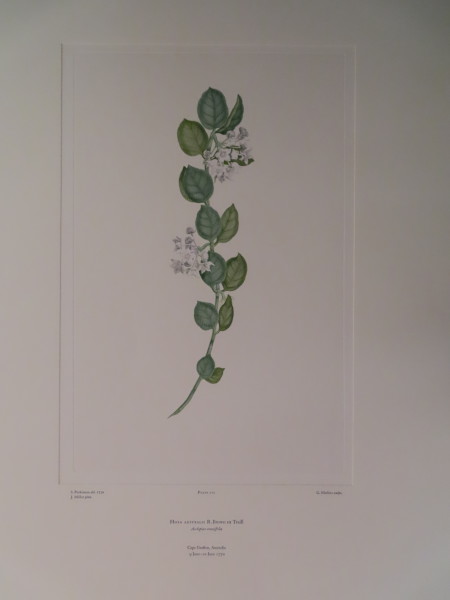 image FDA-E.2916_10_13-2016