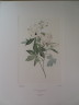 image FDA-E.2916_2_4-2016-A