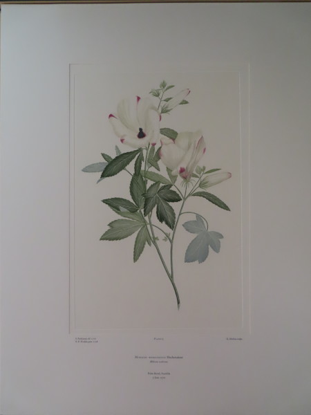 image FDA-E.2916_2_4-2016-A