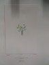 image FDA-E.2916_20_5-2016