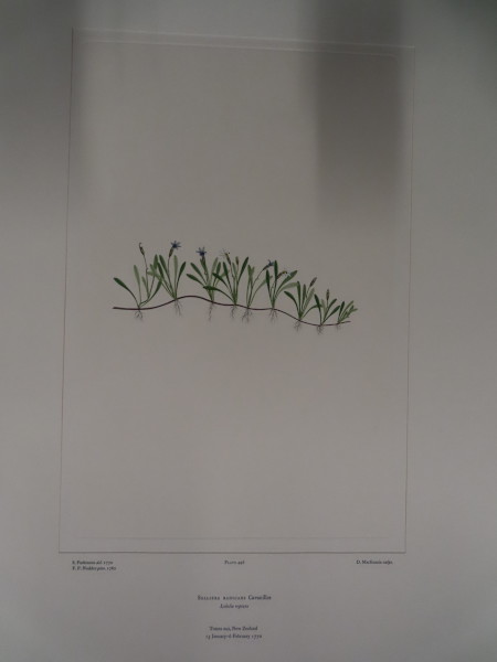 image FDA-E.2916_24_7-2016