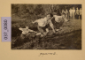 image PA-A.37_80-2012