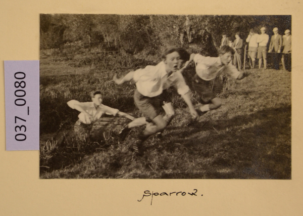 image PA-A.37_80-2012